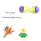 Interactive Cat Toy IQ Treat Ball