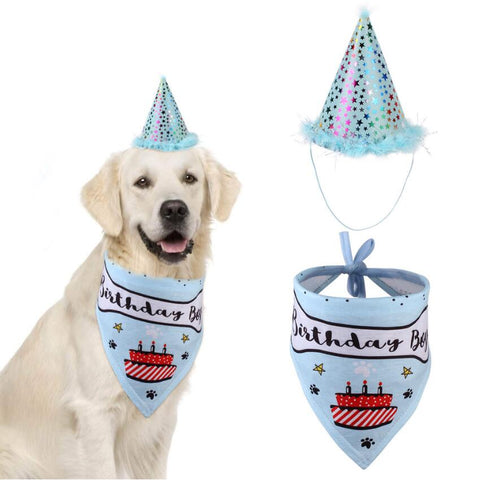 Party Pet Dogs/Cat Birthday