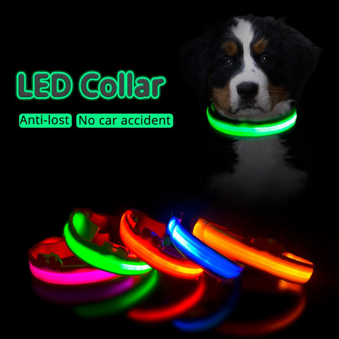 LED Dog Collar USB Charging