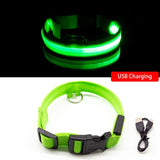 LED Dog Collar USB Charging