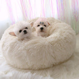 Soft Pet Bed Dog & Cat