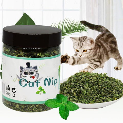 Organic 100% Natural Premium Catnip