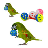 Pet Parrot Toy